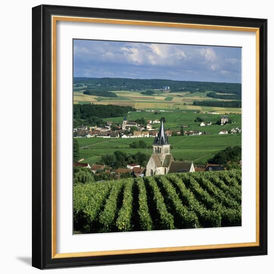 Champagne Vineyards, Ville-Dommange, Near Reims, Champagne, France, Europe-Stuart Black-Framed Photographic Print