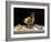 Champagne with Lemons and Oysters-Roy Hodrien-Framed Giclee Print