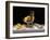 Champagne with Lemons and Oysters-Roy Hodrien-Framed Giclee Print