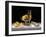 Champagne with Lemons and Oysters-Roy Hodrien-Framed Giclee Print