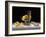 Champagne with Lemons and Oysters-Roy Hodrien-Framed Giclee Print