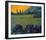 Champange Vineyards-Philip Craig-Framed Giclee Print