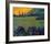 Champange Vineyards-Philip Craig-Framed Giclee Print