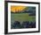 Champange Vineyards-Philip Craig-Framed Giclee Print