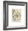 Champignons I-Adolphe Millot-Framed Giclee Print