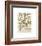 Champignons I-Adolphe Millot-Framed Giclee Print