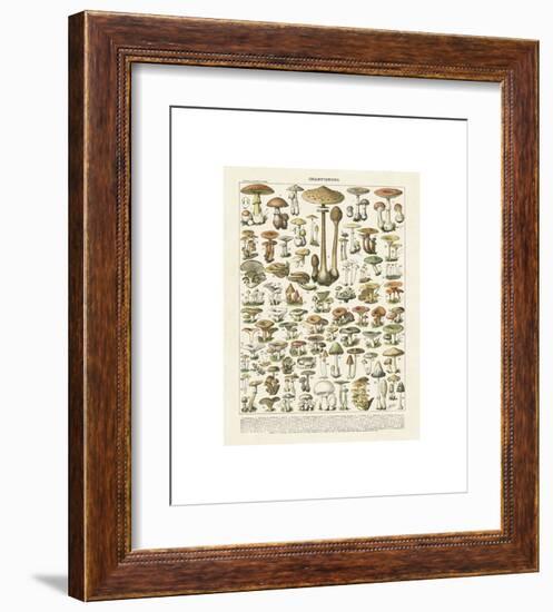 Champignons I-Adolphe Millot-Framed Giclee Print