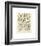 Champignons I-Adolphe Millot-Framed Giclee Print