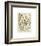 Champignons I-Adolphe Millot-Framed Giclee Print