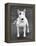 Champion Abraxas Audacity Crufts, Best in Show, 1972-Thomas Fall-Framed Premier Image Canvas