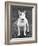 Champion Abraxas Audacity Crufts, Best in Show, 1972-Thomas Fall-Framed Photographic Print