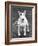 Champion Abraxas Audacity Crufts, Best in Show, 1972-Thomas Fall-Framed Photographic Print