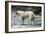 Champion Borzoi-null-Framed Art Print