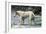 Champion Borzoi-null-Framed Art Print