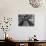 Champion Bowler Andy Varipapa Demonstrating Favorite Trick of Rolling Two Balls Down Alley at once-Gjon Mili-Premium Photographic Print displayed on a wall