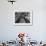 Champion Bowler Andy Varipapa Demonstrating Favorite Trick of Rolling Two Balls Down Alley at once-Gjon Mili-Framed Premium Photographic Print displayed on a wall