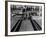 Champion Bowler Andy Varipapa Demonstrating Favorite Trick of Rolling Two Balls Down Alley at once-Gjon Mili-Framed Premium Photographic Print