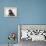 Champion Broadoak Beetle-Thomas Fall-Framed Premier Image Canvas displayed on a wall