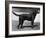 Champion Cheverells Ben of Banchory Breed-Thomas Fall-Framed Photographic Print