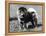 Champion Choonam Hung Kwong Crufts, Best in Show, 1936-Thomas Fall-Framed Premier Image Canvas