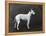 Champion Faultless an Early Example of the Bull Terrier Breed-Thomas Fall-Framed Premier Image Canvas