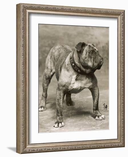 Champion Pressgang-Thomas Fall-Framed Photographic Print