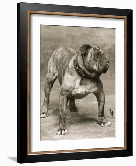 Champion Pressgang-Thomas Fall-Framed Photographic Print