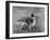 Champion Rozavel Wolf Cub Owner: Gray-Thomas Fall-Framed Photographic Print