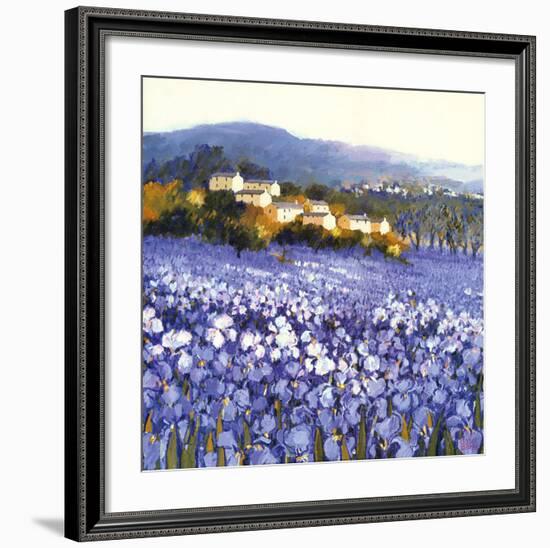 Champs D'Iris, Provence-Hazel Barker-Framed Art Print