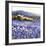 Champs D'Iris, Provence-Hazel Barker-Framed Art Print