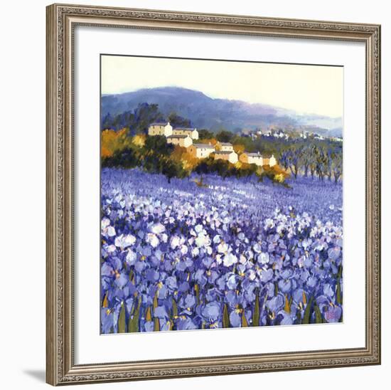 Champs D'Iris, Provence-Hazel Barker-Framed Art Print