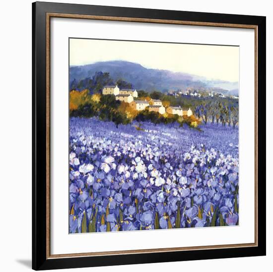 Champs D'Iris, Provence-Hazel Barker-Framed Art Print