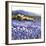 Champs D'Iris, Provence-Hazel Barker-Framed Art Print