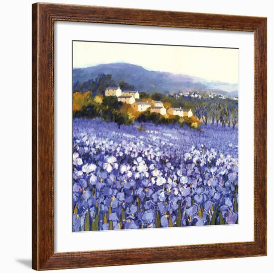 Champs D'Iris, Provence-Hazel Barker-Framed Art Print