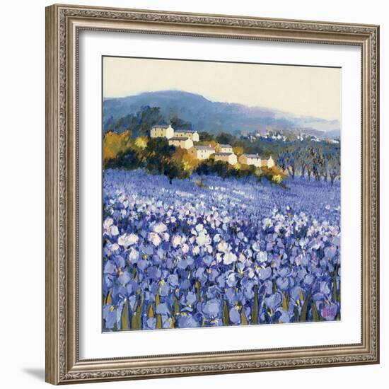 Champs D'Iris, Provence-Hazel Barker-Framed Art Print