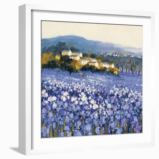 Champs D'Iris, Provence-Hazel Barker-Framed Art Print