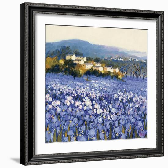 Champs D'Iris, Provence-Hazel Barker-Framed Art Print