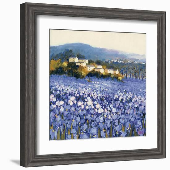 Champs D'Iris, Provence-Hazel Barker-Framed Art Print