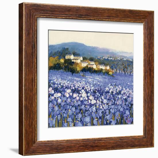 Champs D'Iris, Provence-Hazel Barker-Framed Art Print