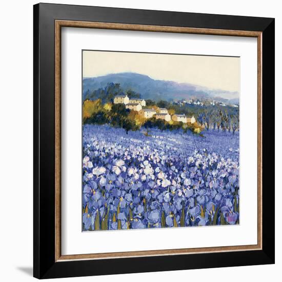 Champs D'Iris, Provence-Hazel Barker-Framed Art Print