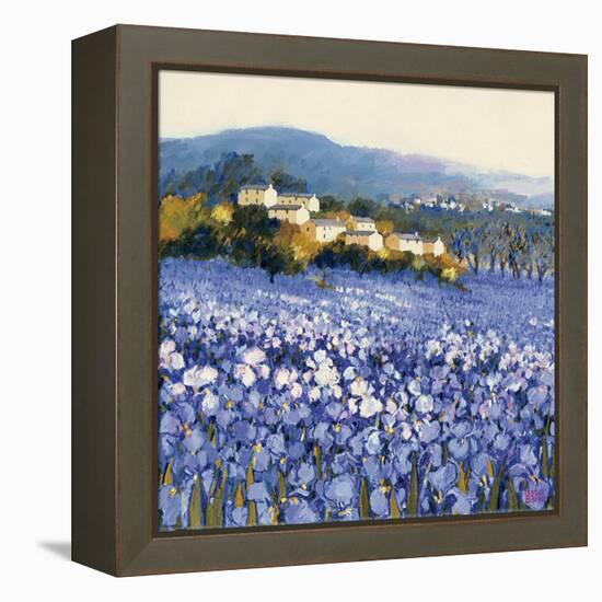 Champs D'Iris, Provence-Hazel Barker-Framed Stretched Canvas