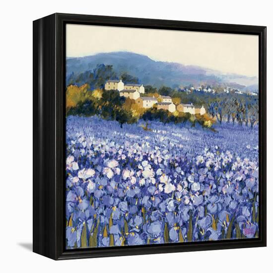 Champs D'Iris, Provence-Hazel Barker-Framed Stretched Canvas