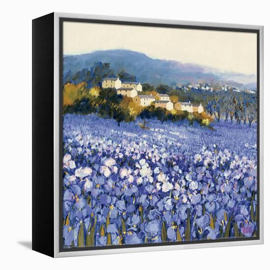 Champs D'Iris, Provence-Hazel Barker-Framed Stretched Canvas