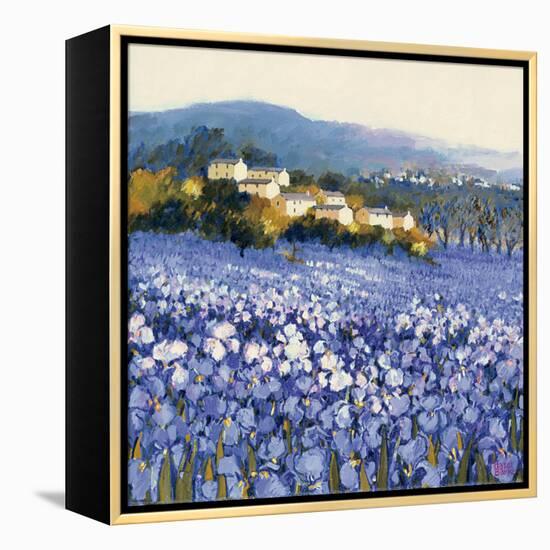 Champs D'Iris, Provence-Hazel Barker-Framed Stretched Canvas