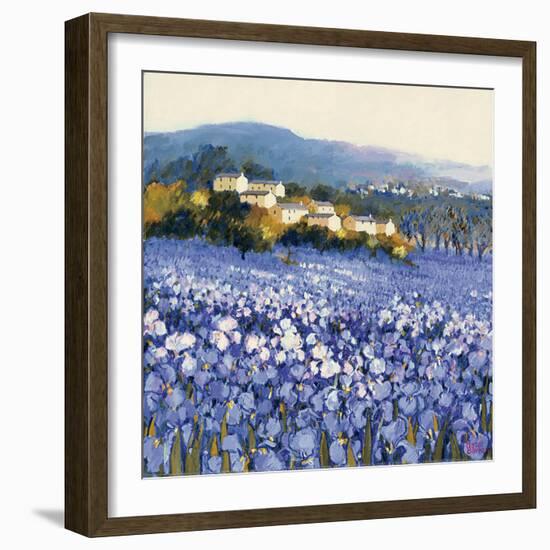 Champs D'Iris, Provence-Hazel Barker-Framed Premium Giclee Print