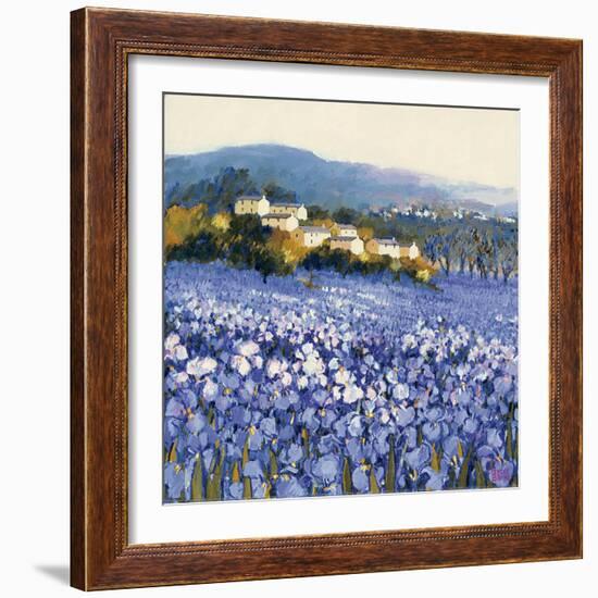 Champs D'Iris, Provence-Hazel Barker-Framed Premium Giclee Print