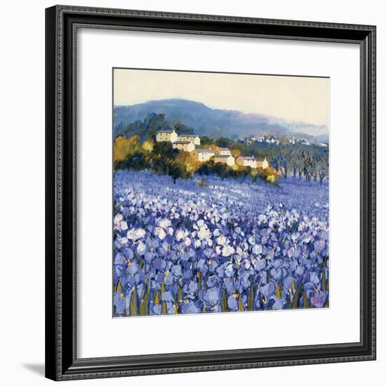 Champs D'Iris, Provence-Hazel Barker-Framed Premium Giclee Print