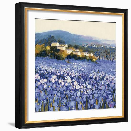 Champs D'Iris, Provence-Hazel Barker-Framed Premium Giclee Print