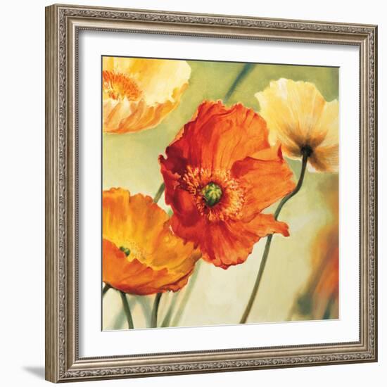 Champs de coquelicots II-Pierre Viollet-Framed Art Print