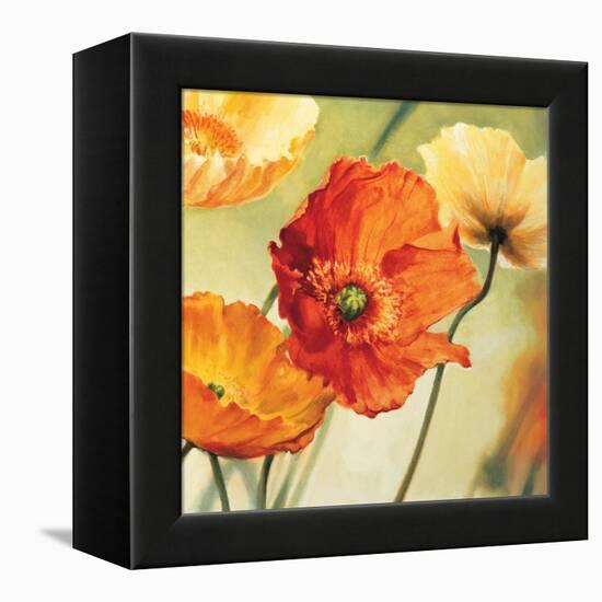 Champs de coquelicots II-Pierre Viollet-Framed Stretched Canvas